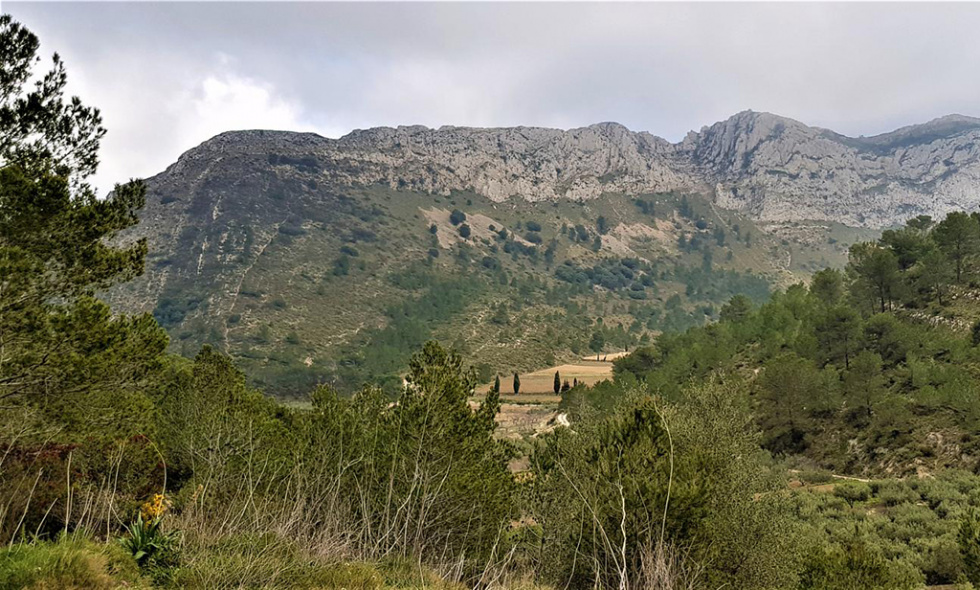 Más de 1.100 hectáreas de terreno rústico en Benigembla, a subata por 9,7 millones de euros