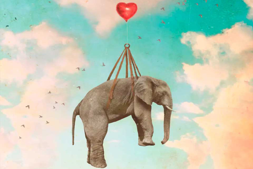 Portada del último disco de Macaco, 'Vuélame el corazón'.