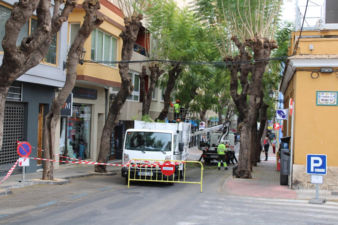 Dénia cerrará al tráfico el primer tramo de Carlos Sentí por trabajos de poda los días 17 y 18 de febrero