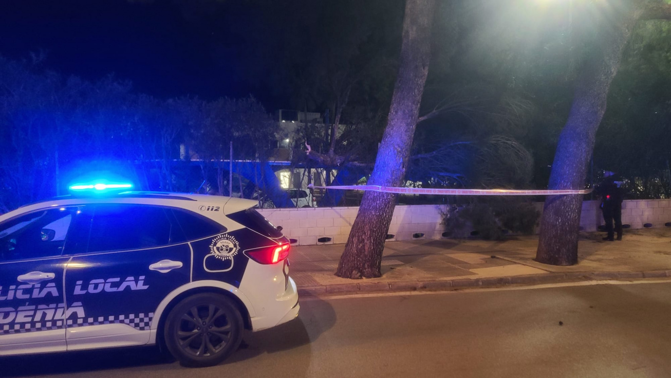 Ca&iacute;da rama de &aacute;rbol en la carretera de D&eacute;nia a Javea, en el Club N&aacute;utico.