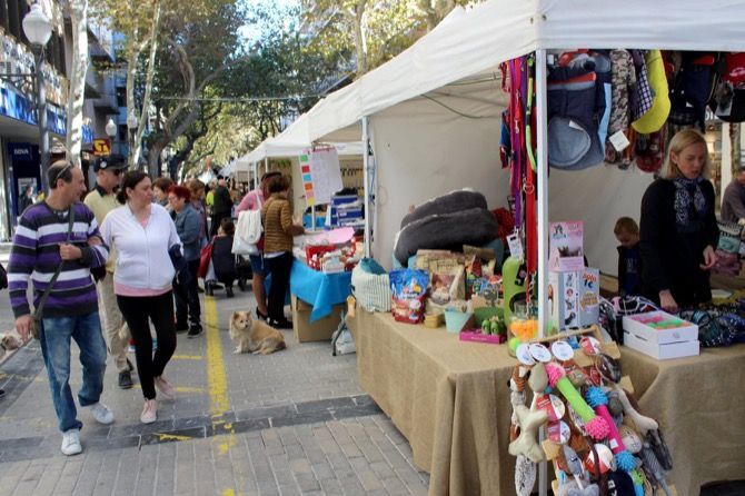 Archivo. la fira del stock de Dénia en Marqués de Campo