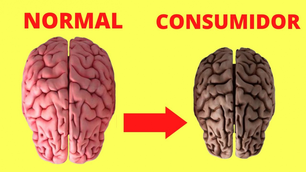 Amadem alerta de los riesgos del consumo de cannabis en jóvenes y su impacto en la salud mental