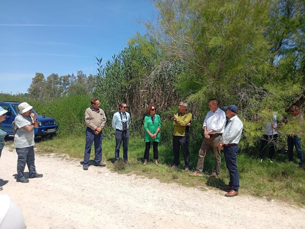 La Marjal de Pego-Oliva rinde homenaje a Félix Rodríguez de la Fuente con la plantación de una morera blanca