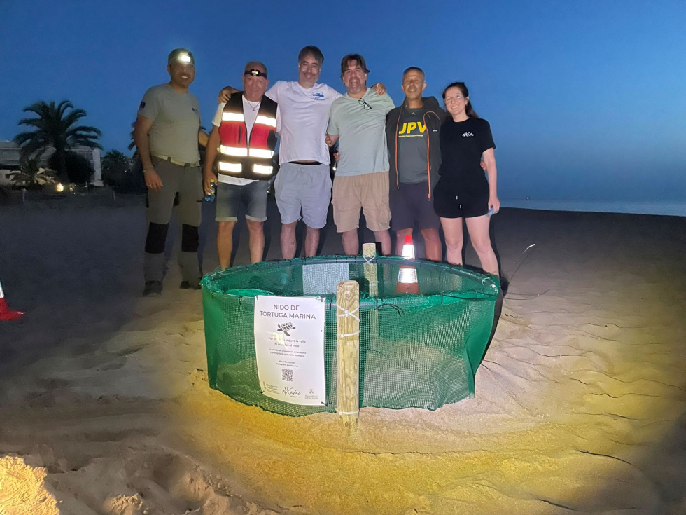 Diana vuelve a Dénia y deposita un nido de 106 huevos en la playa de la Marineta Casiana