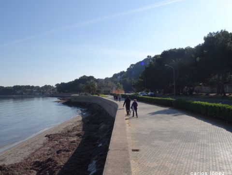 Una de las propuestas consiste en cambiar el pavimento del paseo de la Marineta Casiana, foto archivo Déniadigital