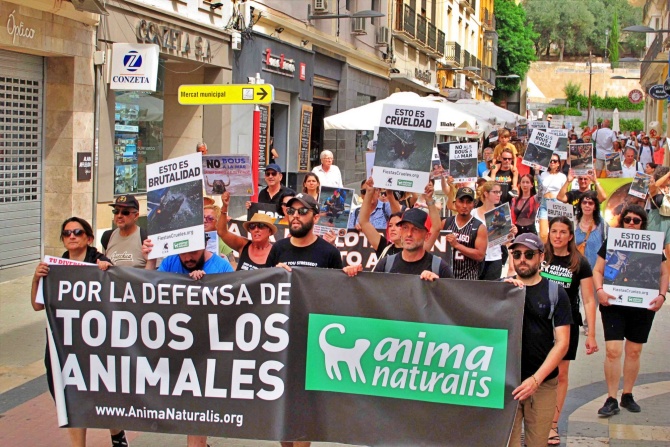 Imagen de la manifestación de este dominogo celebrada en Dénia en contra de los Bous a la Mar