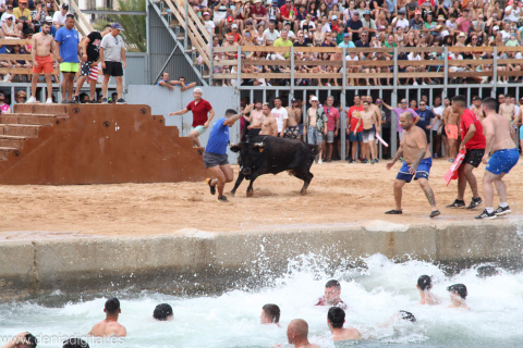 Segunda Jornada Bous a la Mar