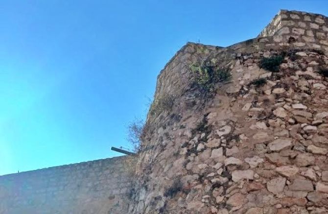 Gent de Dénia reclama completar la retirada de vegetación en la ladera norte del Castillo