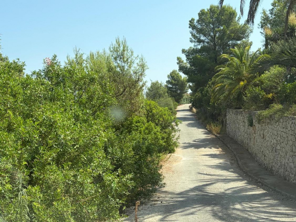 Gent de Dénia alerta del estado de Monte Pego y reclama medidas de mantenimiento, seguridad y prevención