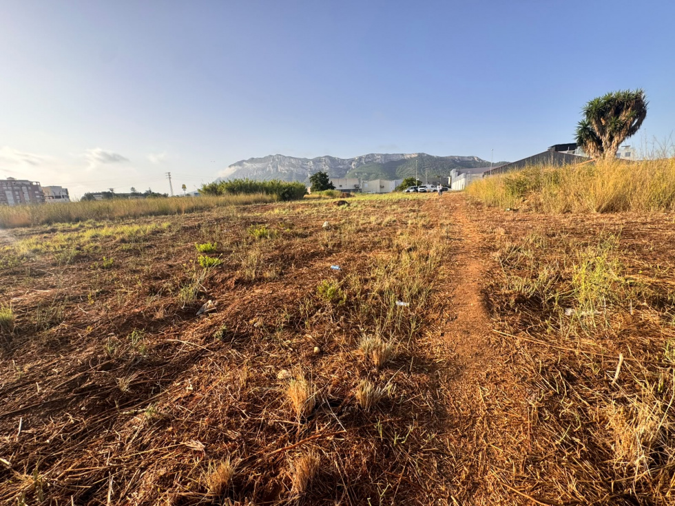 Dénia inicia la construcción de un nuevo circuito permanente para BTT y ciclocrós
