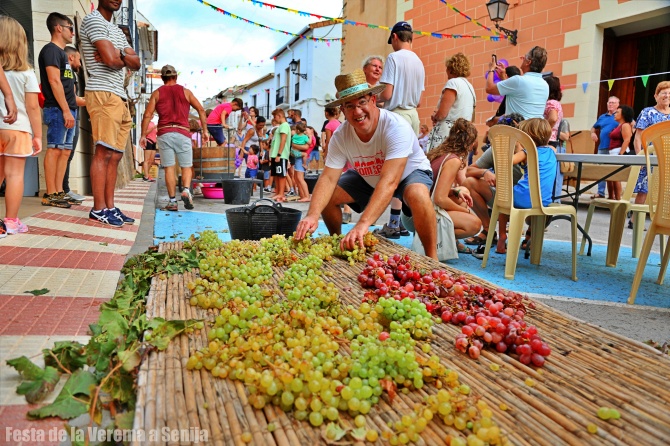 Senija vuelve a pisar la uva para celebrar su tradición vitivinícola este domingo