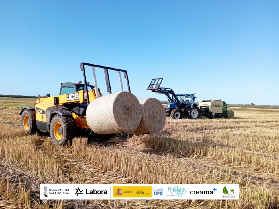 La Marjal de Pego-Oliva transforma la paja del arroz en un recurso para la agricultura y la ganadería