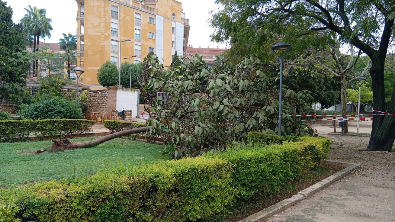 Da&ntilde;os ocasionados por la DANA Adam en D&eacute;nia durante el episodio de fuertes lluvias.